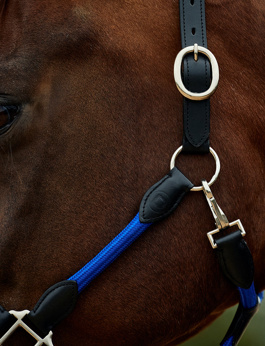 Dublin Leather Rope Headcollar