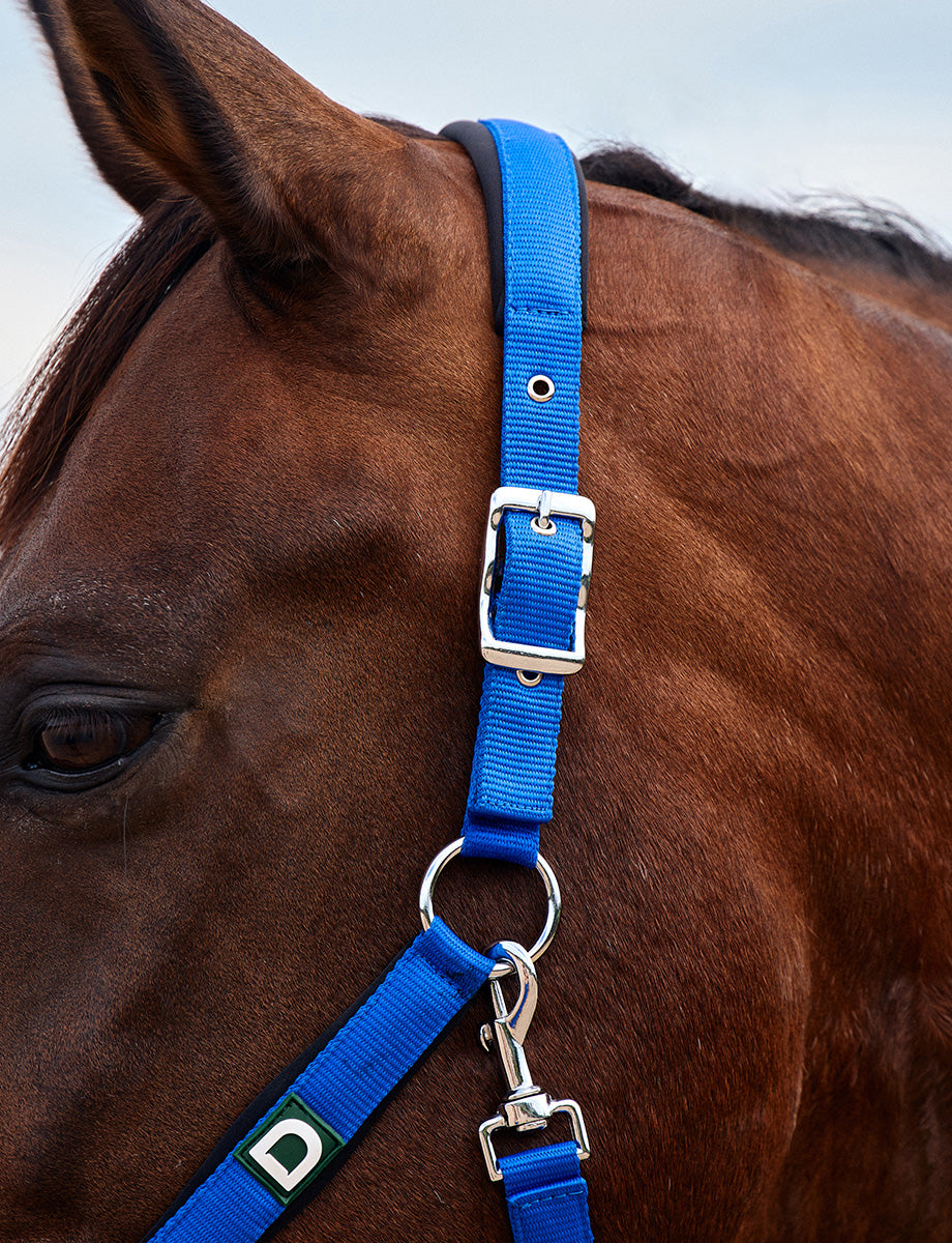 Dublin Neo Comfort Headcollar