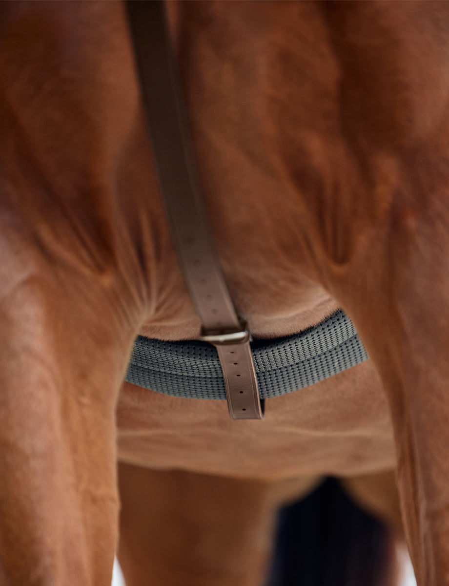Dublin Running Martingale