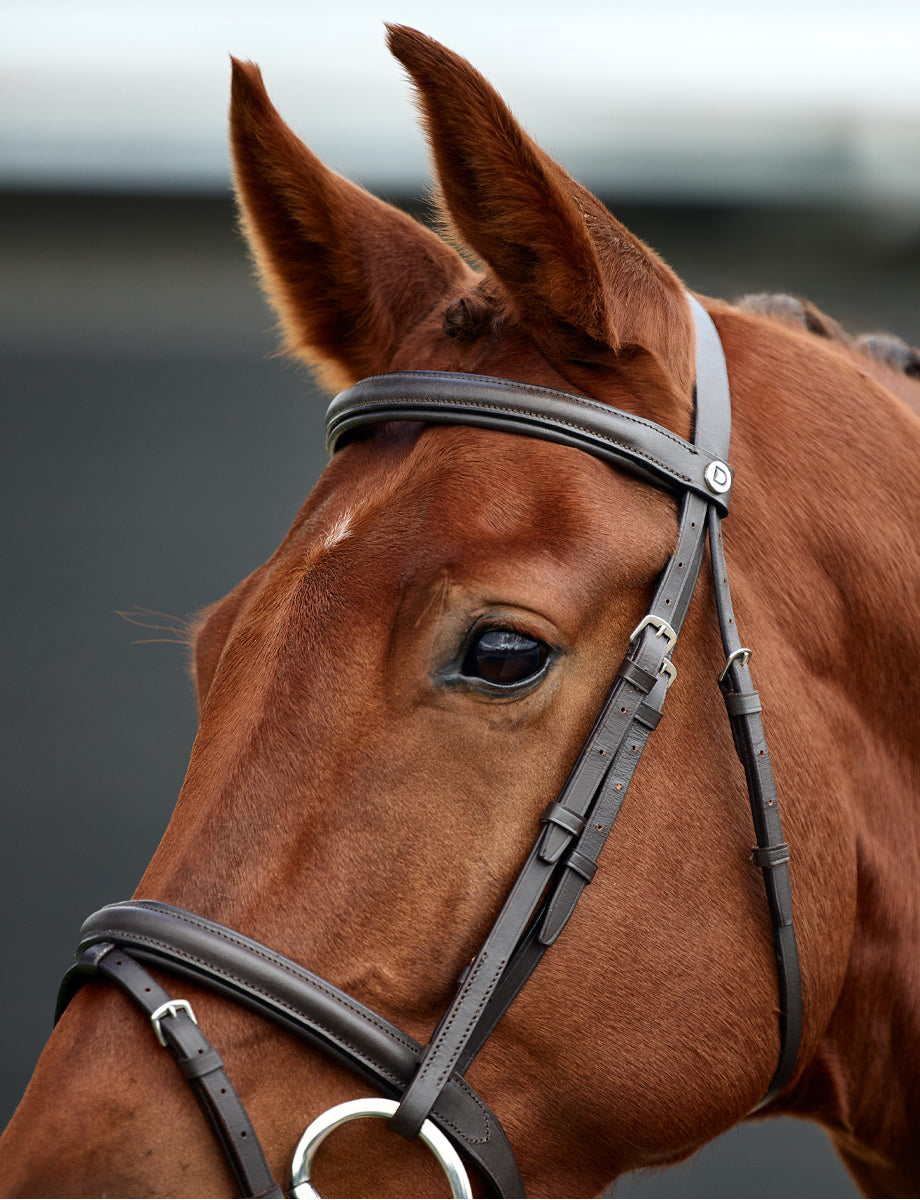Dublin Padded Flash Bridle