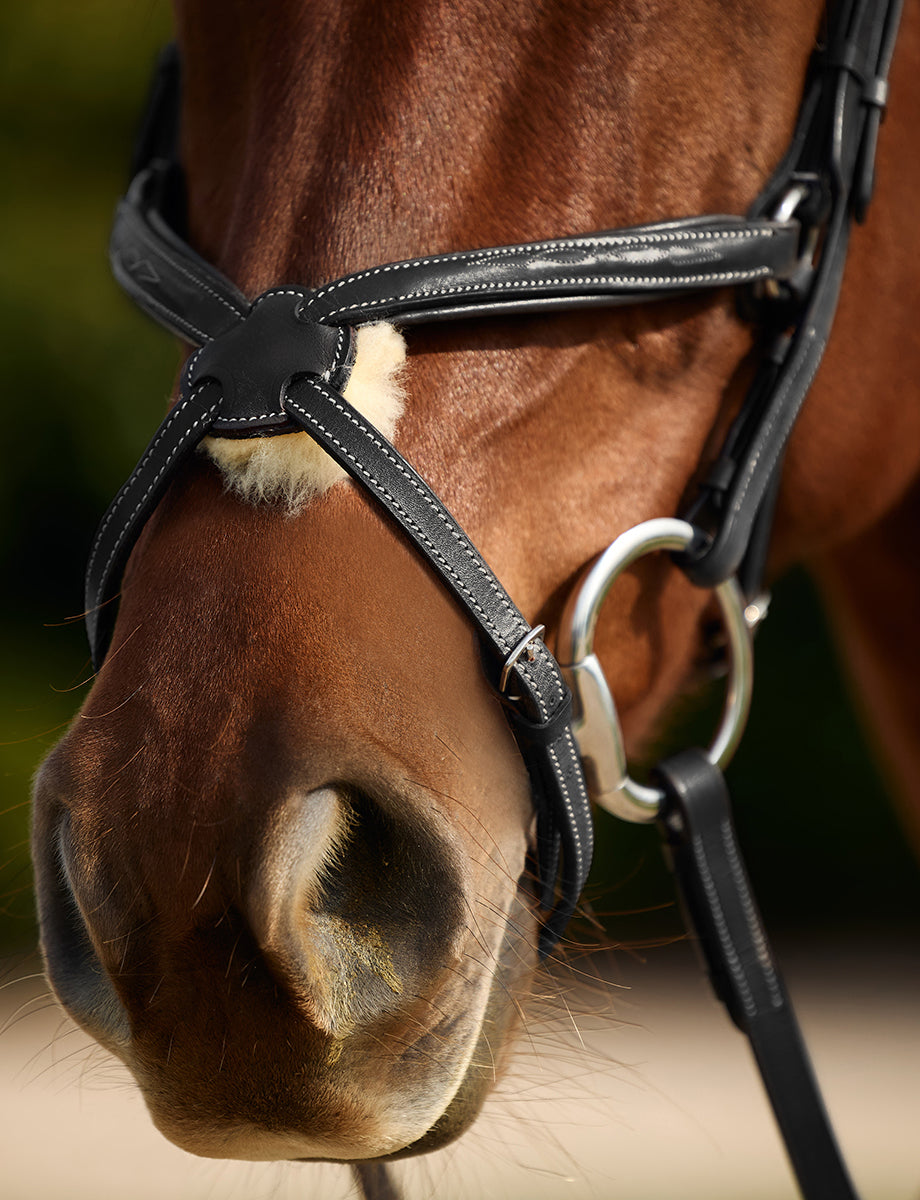 Dublin Padded Mono Crown Fancy Stitch Grackle Bridle