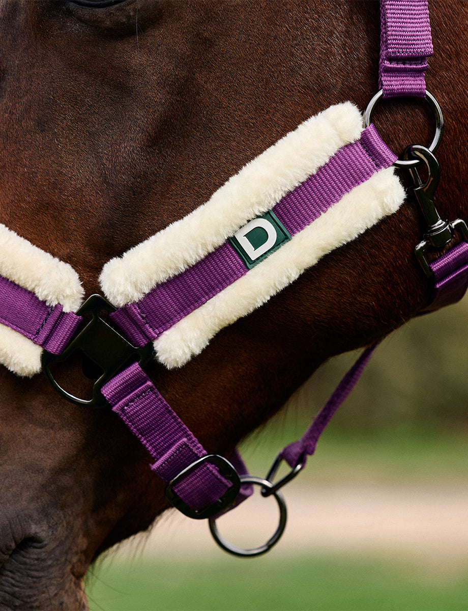 Dublin Soft Fit Headcollar
