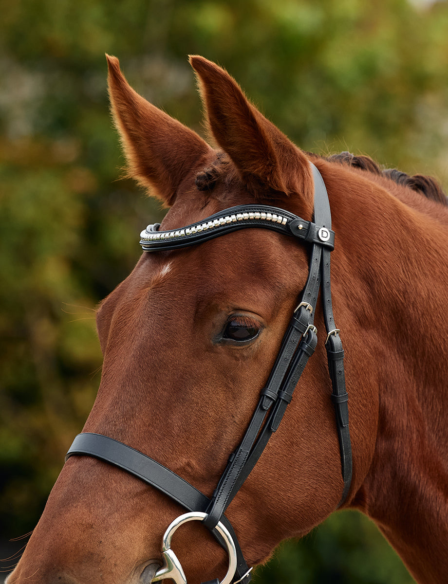 Dublin Clincher Wave Browband
