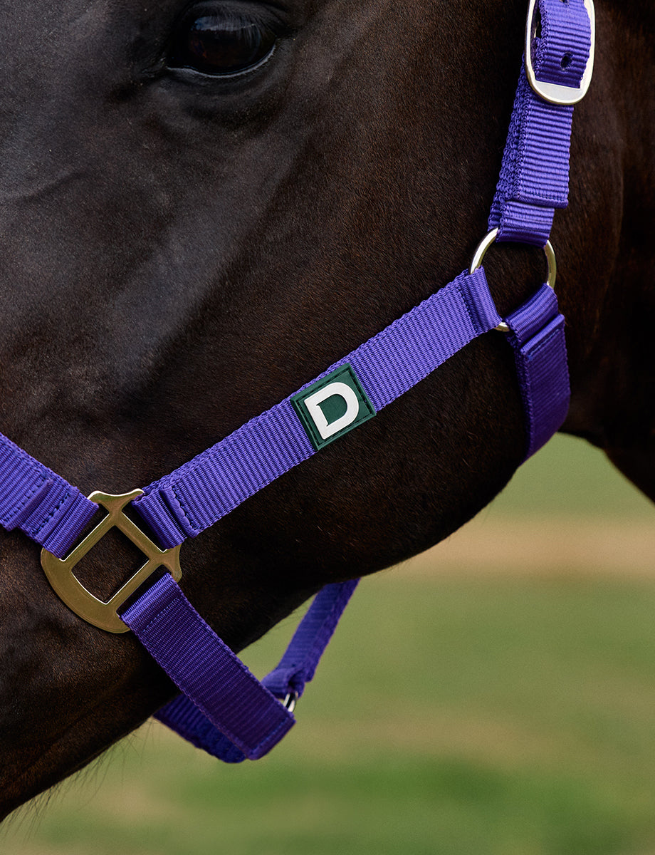 Dublin Everyday Headcollar