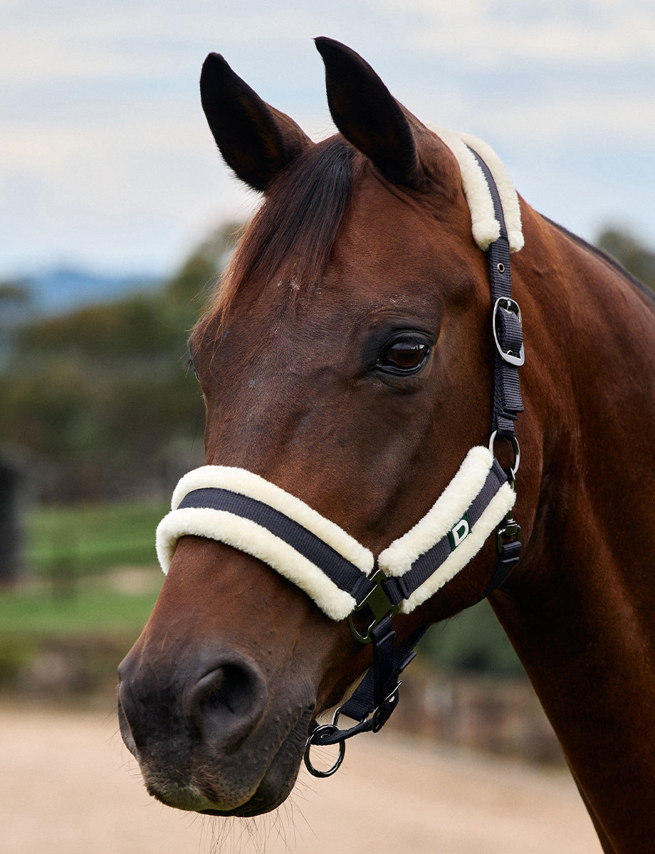 Dublin Soft Fit Headcollar
