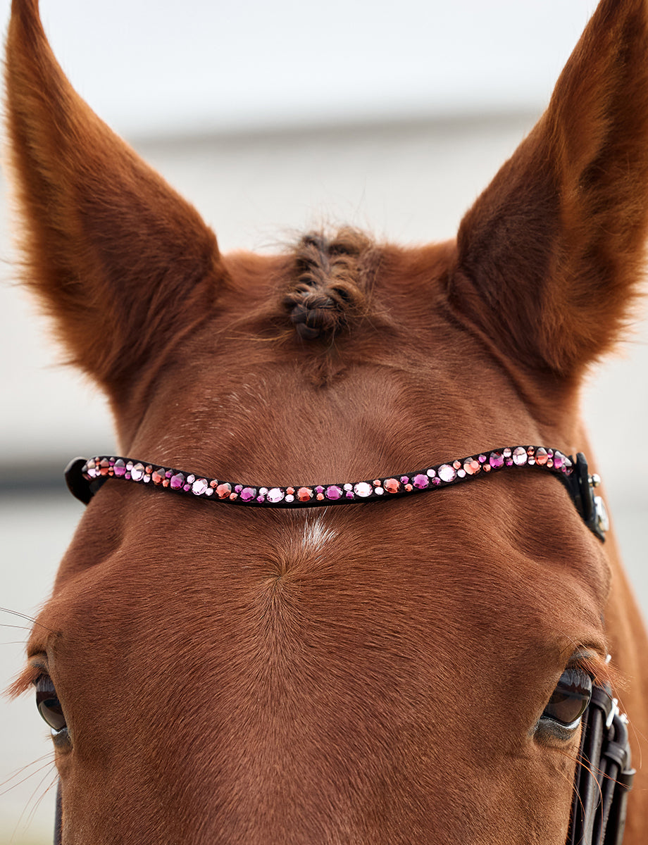 Dublin Ombre Diamante Browband
