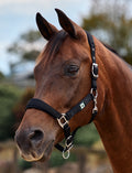 Dublin Neo Comfort Headcollar