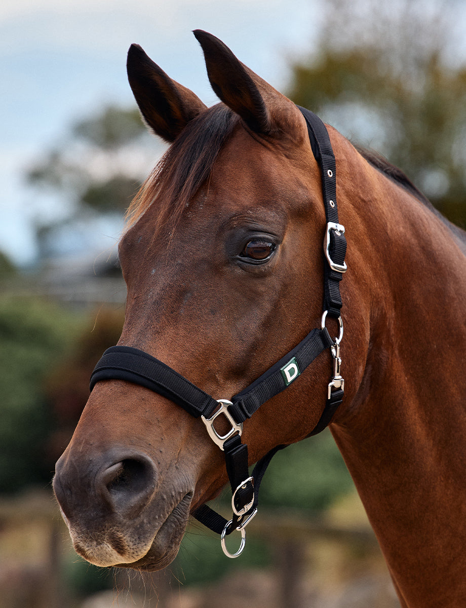 Dublin Neo Comfort Headcollar