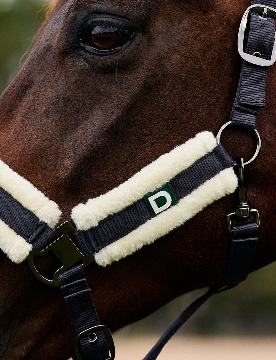 Dublin Soft Fit Headcollar