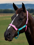 Dublin Everyday Headcollar