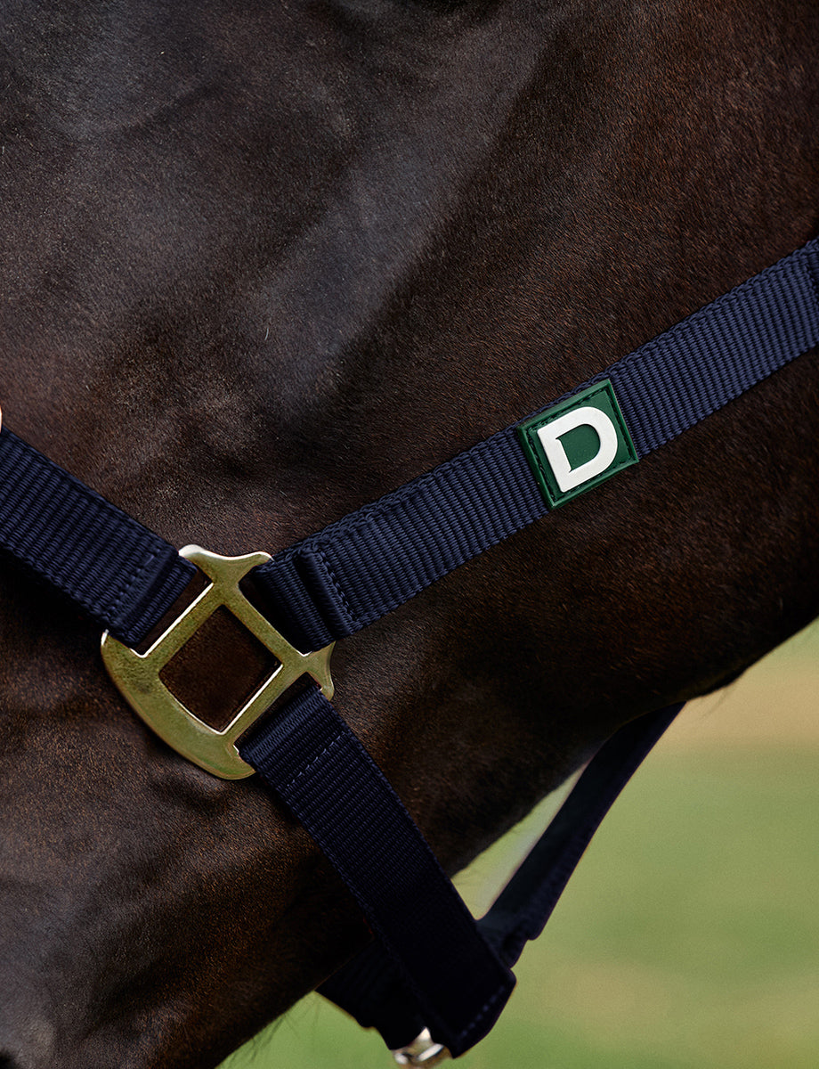 Dublin Everyday Headcollar