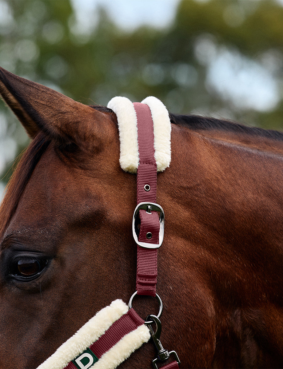 Dublin Soft Fit Headcollar