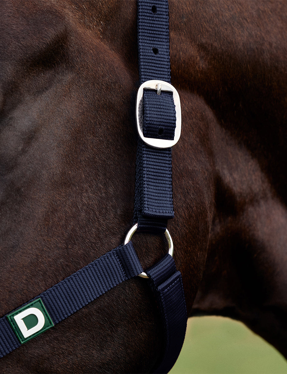Dublin Everyday Headcollar
