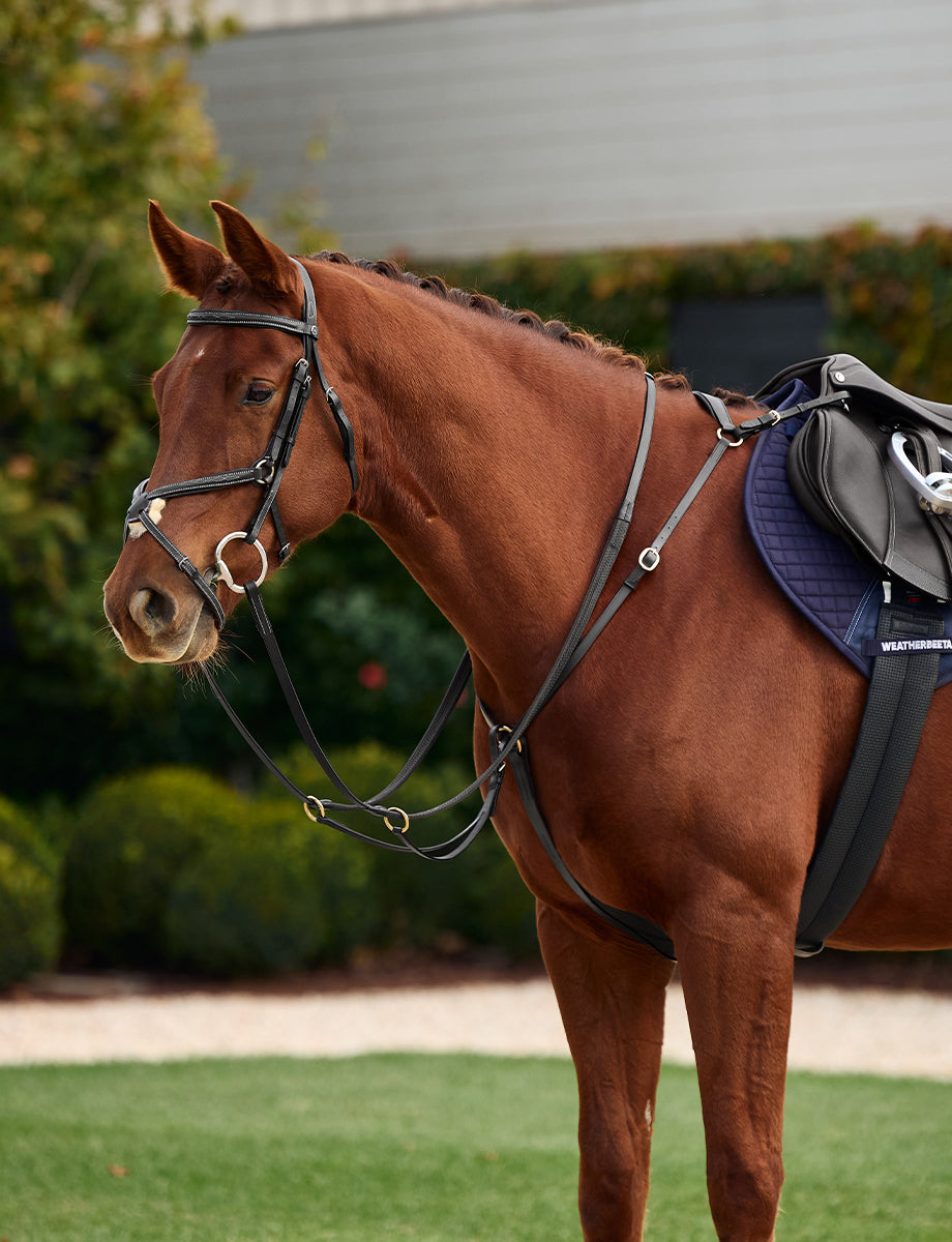 Dublin 3-Point Breastplate