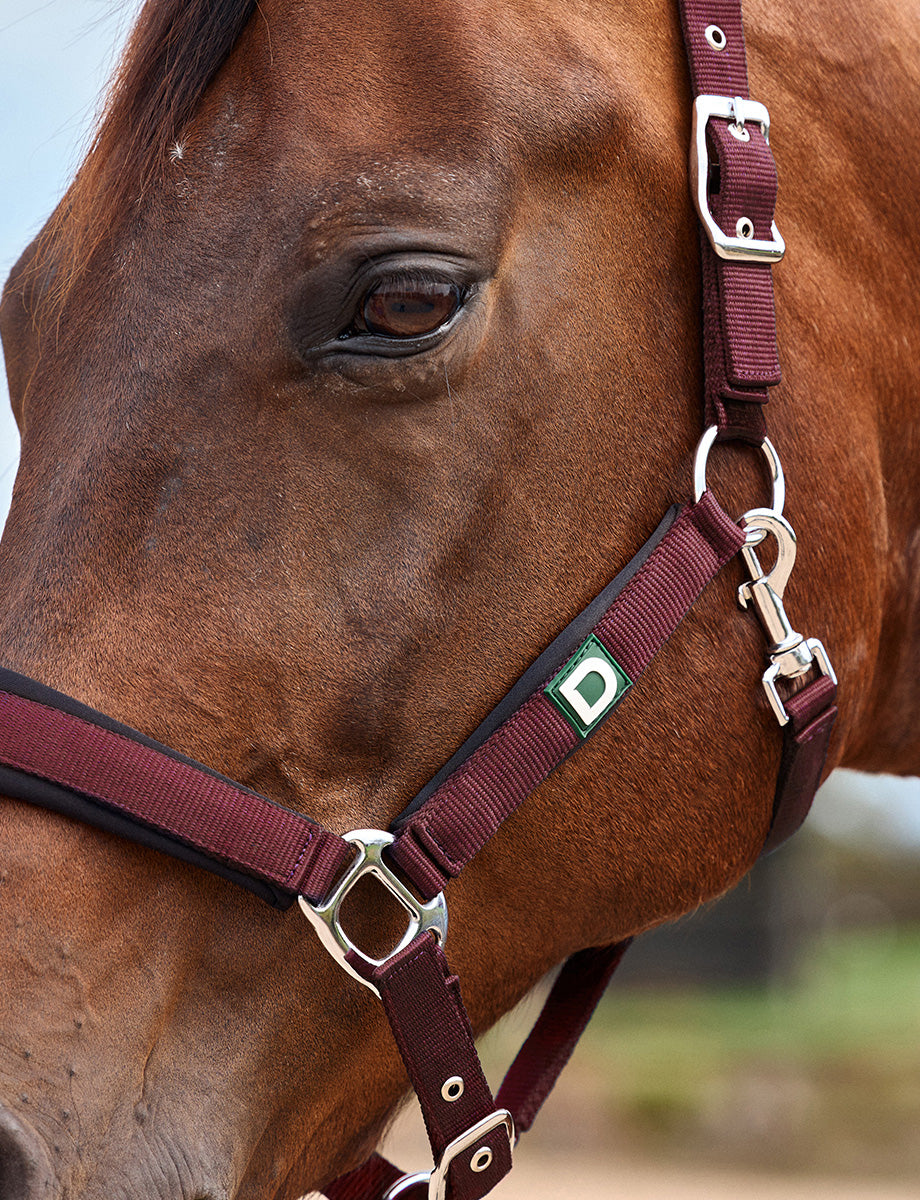 Dublin Neo Comfort Headcollar