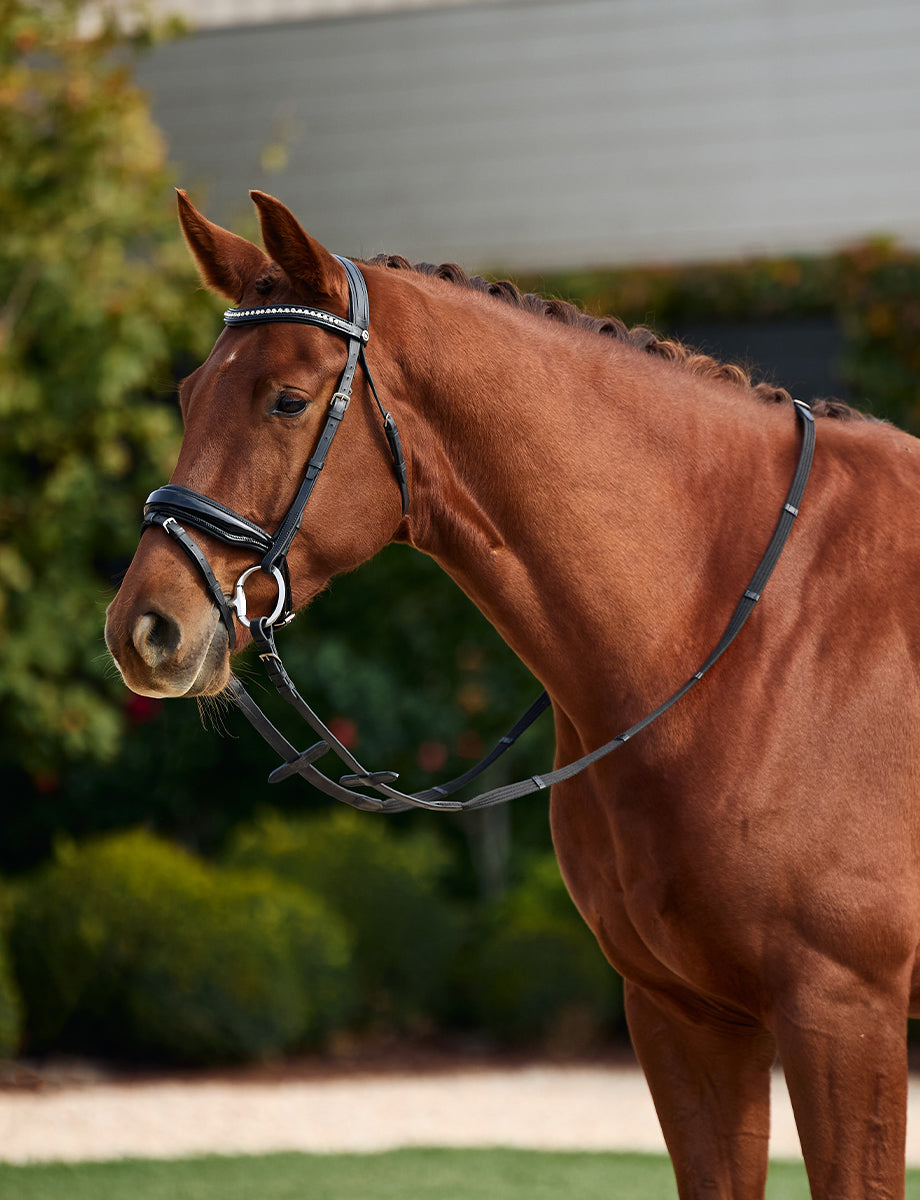 Dublin Padded Comfort Crown Patent Flash Bridle