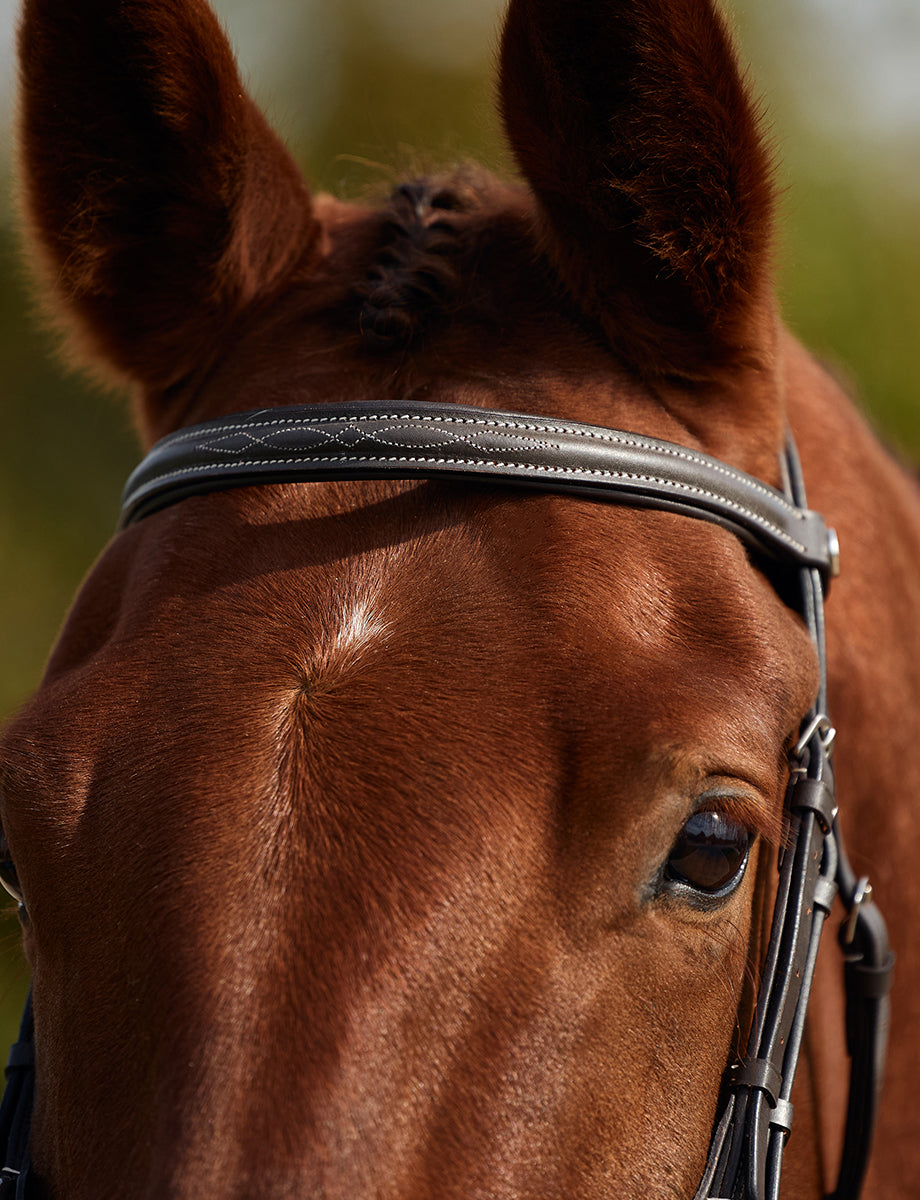 Dublin Padded Mono Crown Fancy Stitch Grackle Bridle