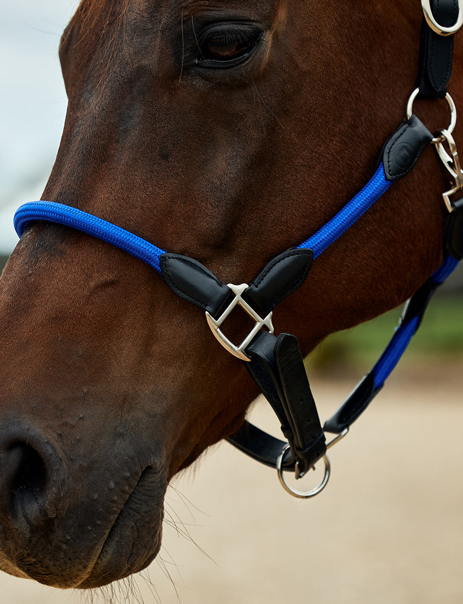 Dublin Leather Rope Headcollar