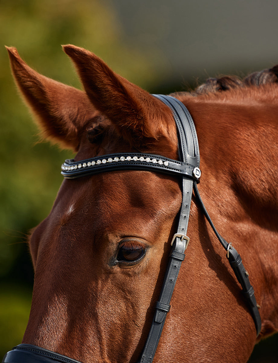Dublin Padded Comfort Crown Patent Flash Bridle