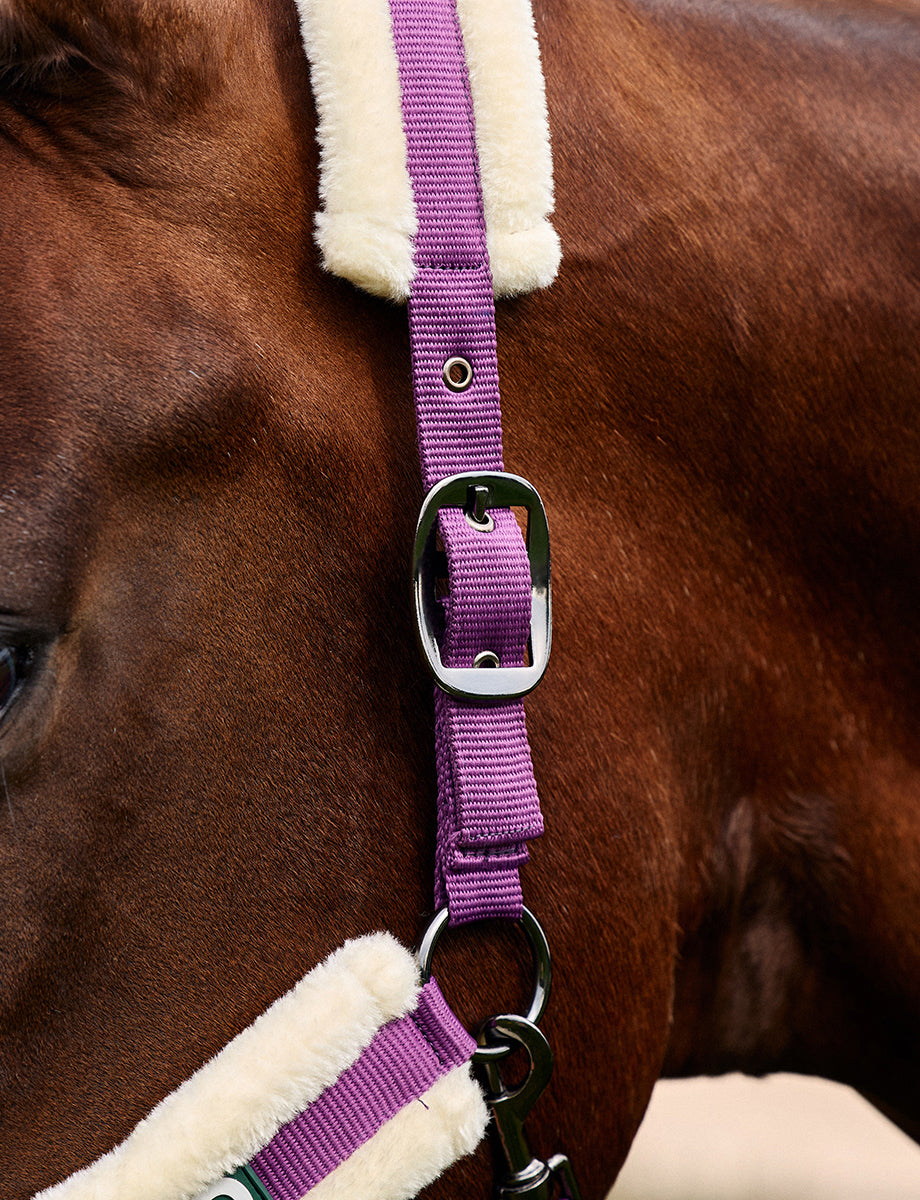 Dublin Soft Fit Headcollar