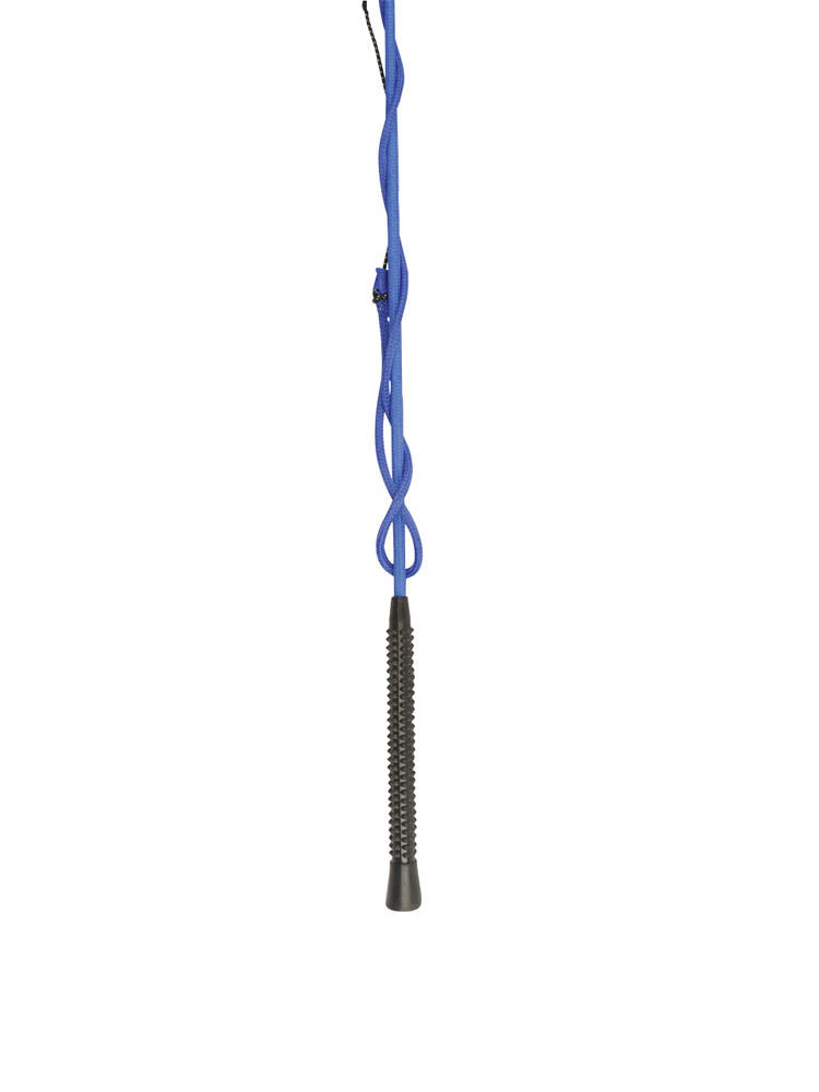 1001026000-BLUE_DB-LUNGE-WHIP_Image_Hero_Null.jpg