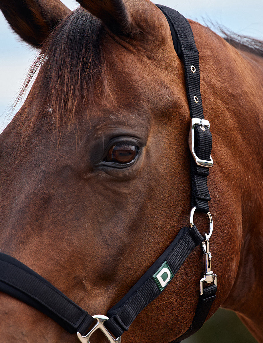 Dublin Neo Comfort Headcollar