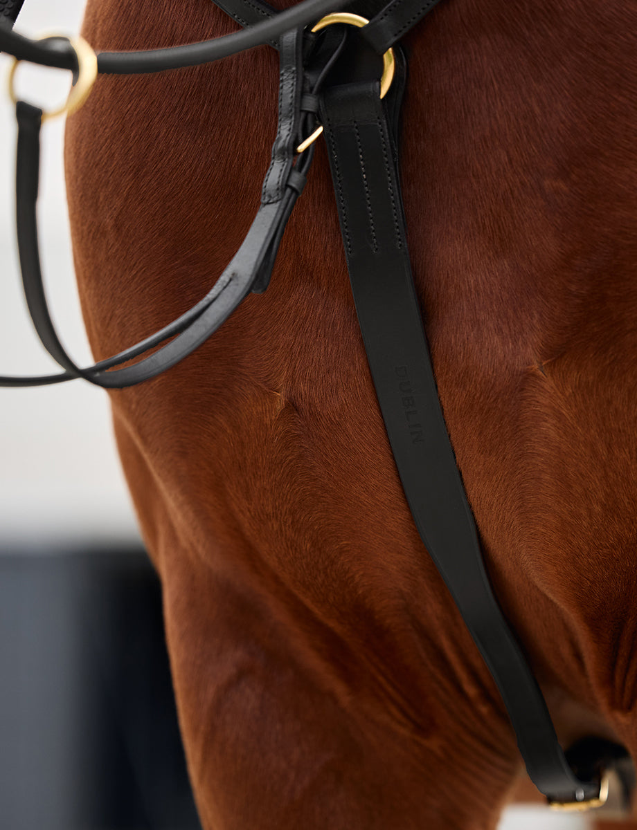 Dublin 3-Point Breastplate