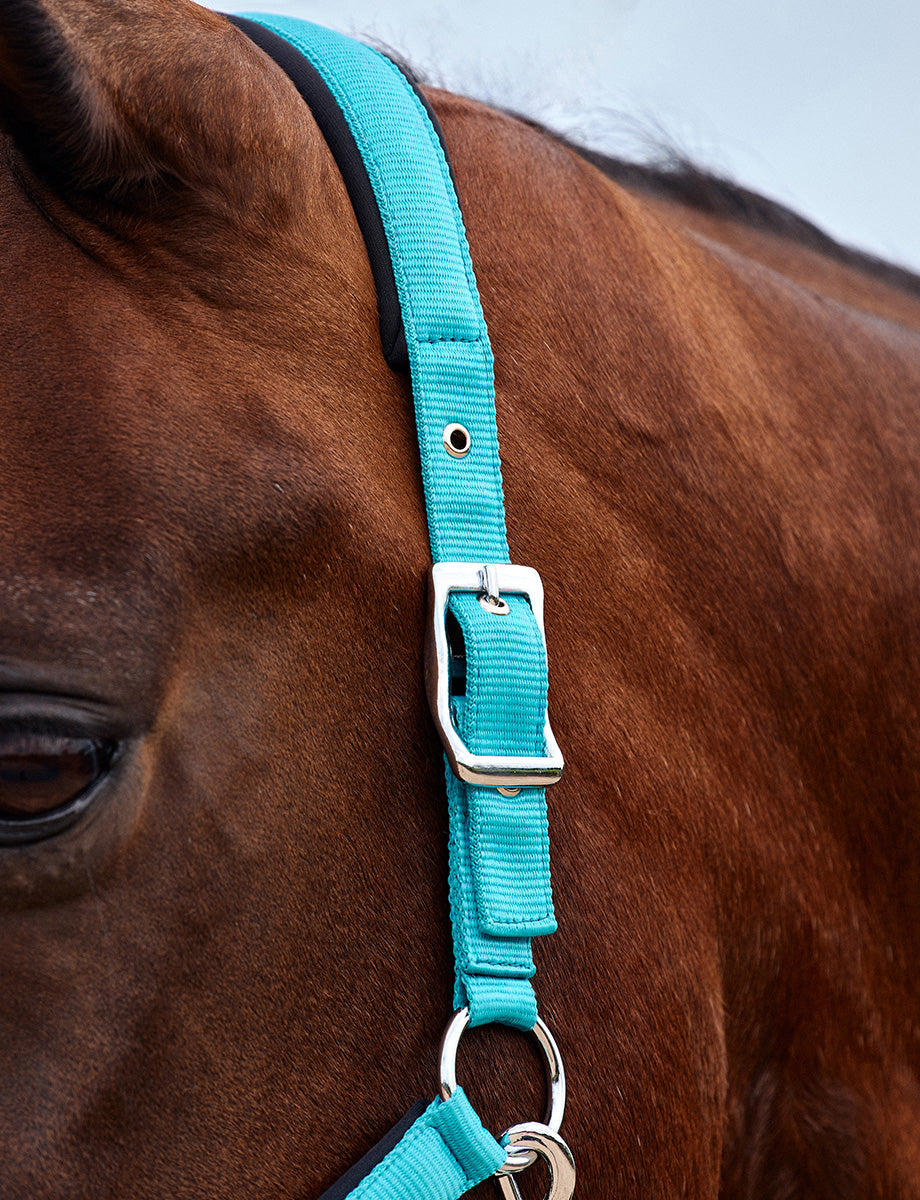 Dublin Neo Comfort Headcollar