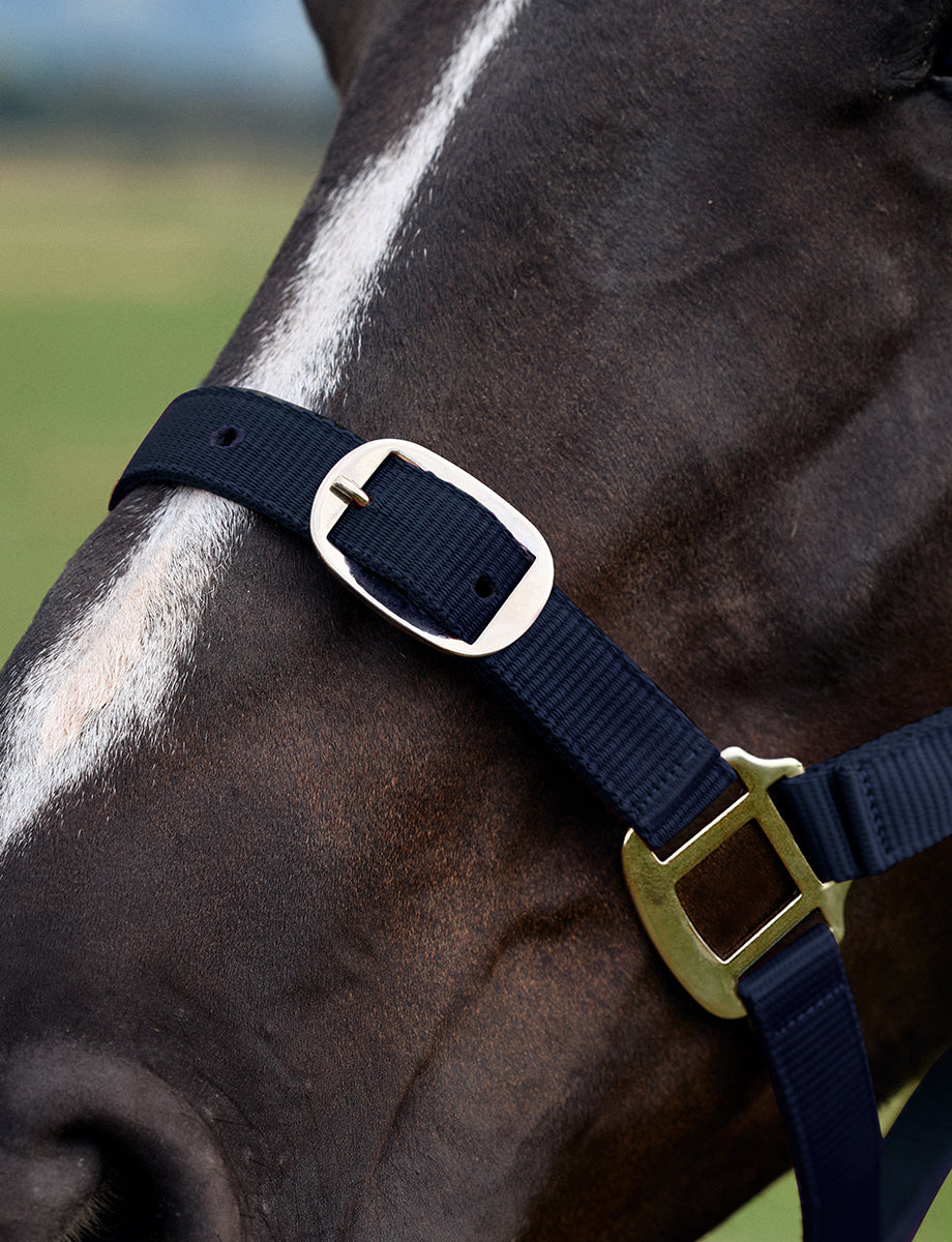 Dublin Everyday Headcollar