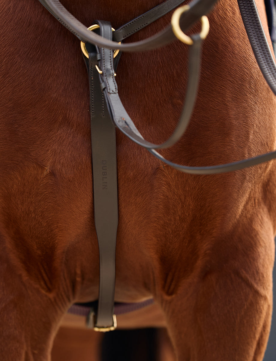 Dublin 3-Point Breastplate