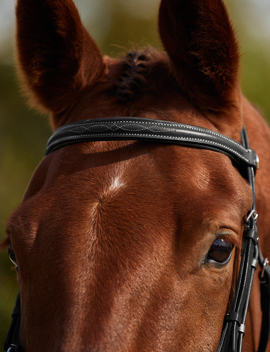 Dublin Padded Mono Crown Fancy Stitch Grackle Bridle