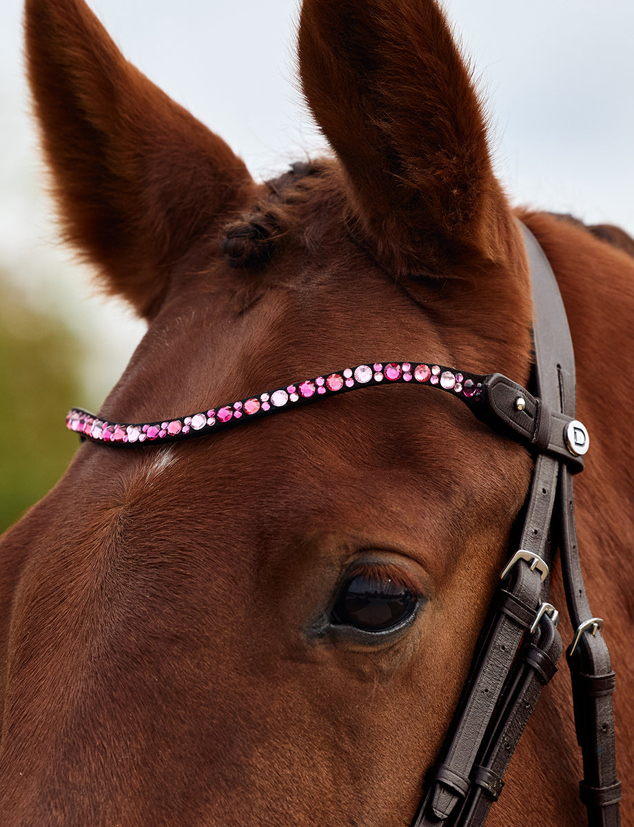 Dublin Ombre Diamante Browband