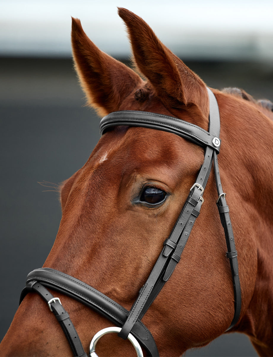 Dublin Padded Flash Bridle