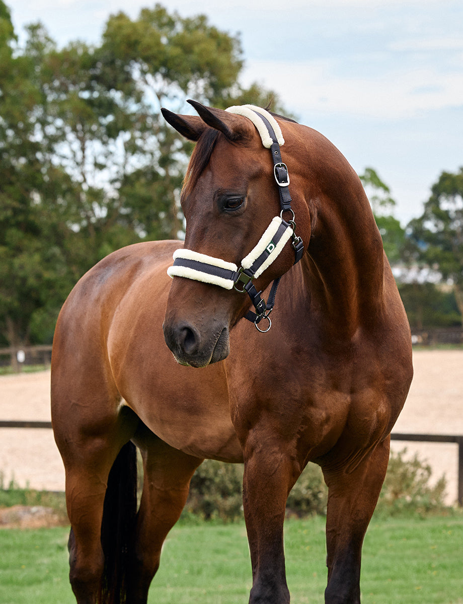 Dublin Soft Fit Headcollar