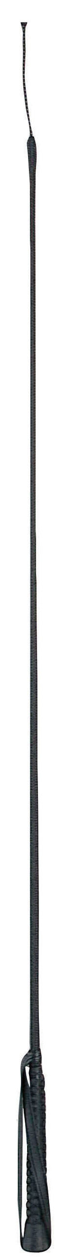 802447_DB-Economy-Dressage-Whip_Image_Hero_Null.jpg