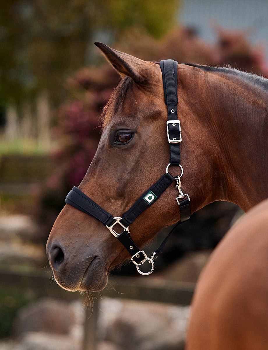 Dublin Neo Comfort Headcollar