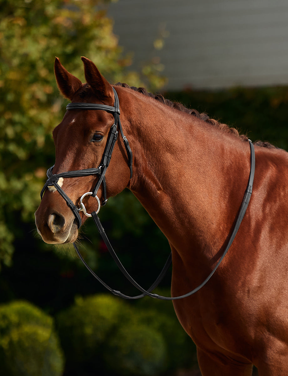 Dublin Padded Mono Crown Fancy Stitch Grackle Bridle