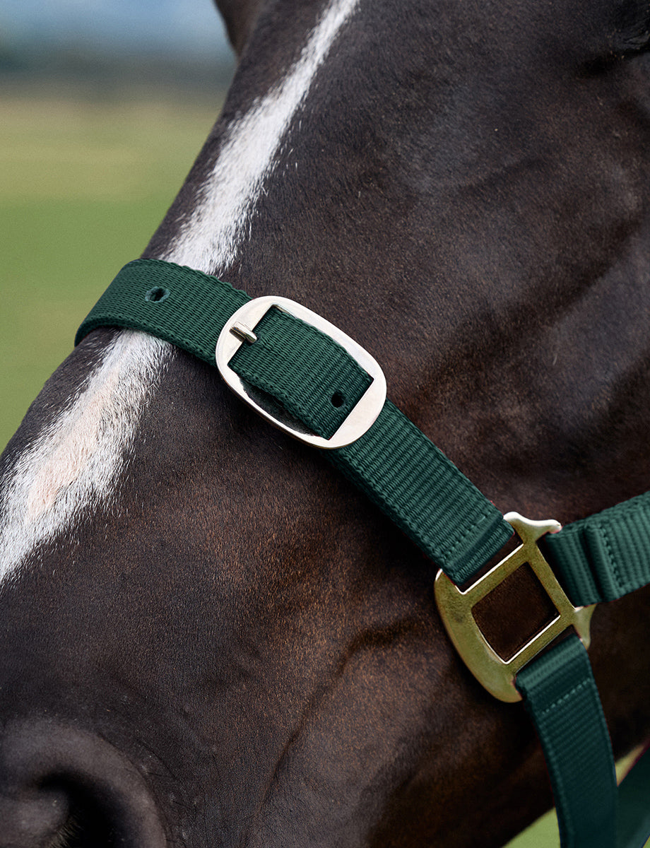 Dublin Everyday Headcollar