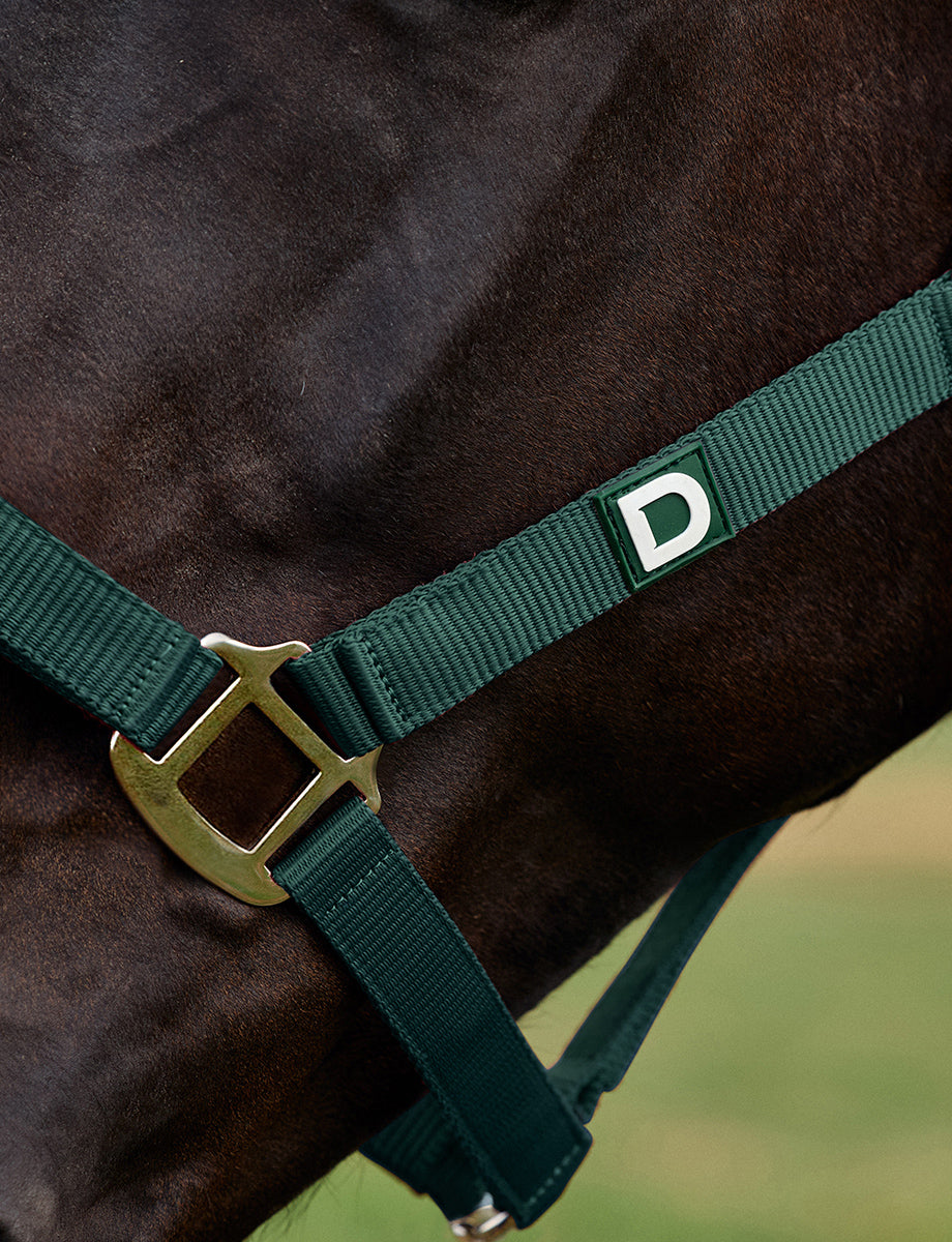 Dublin Everyday Headcollar