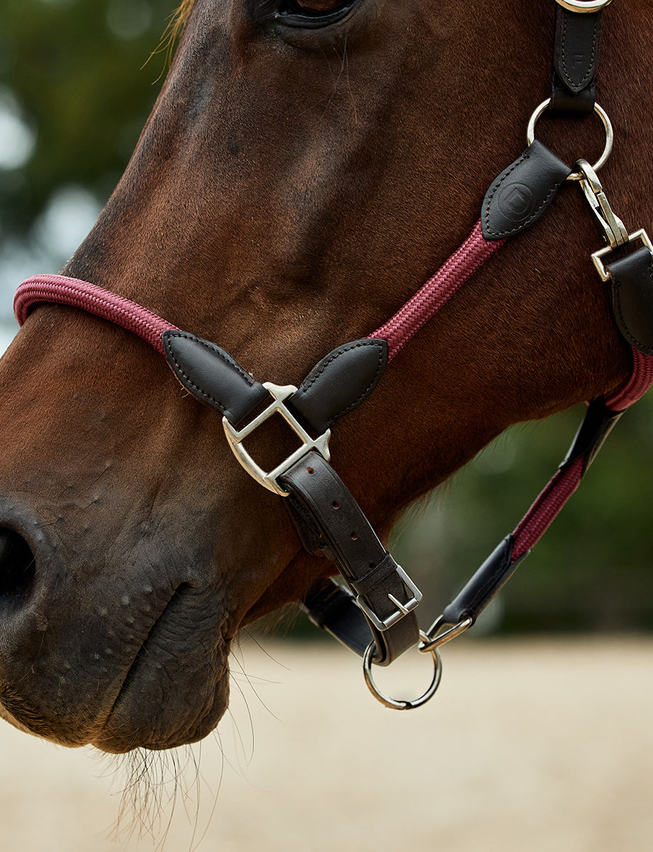Dublin Leather Rope Headcollar