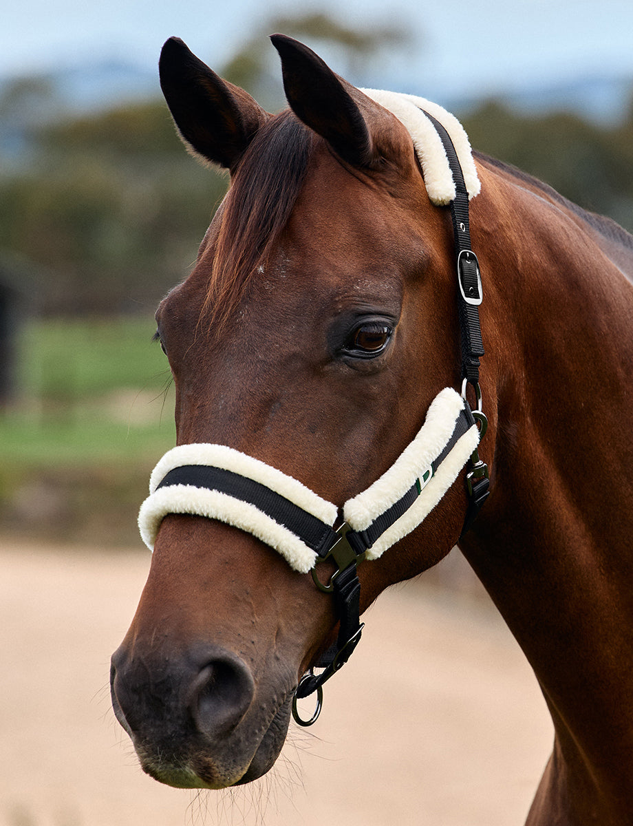 Dublin Soft Fit Headcollar