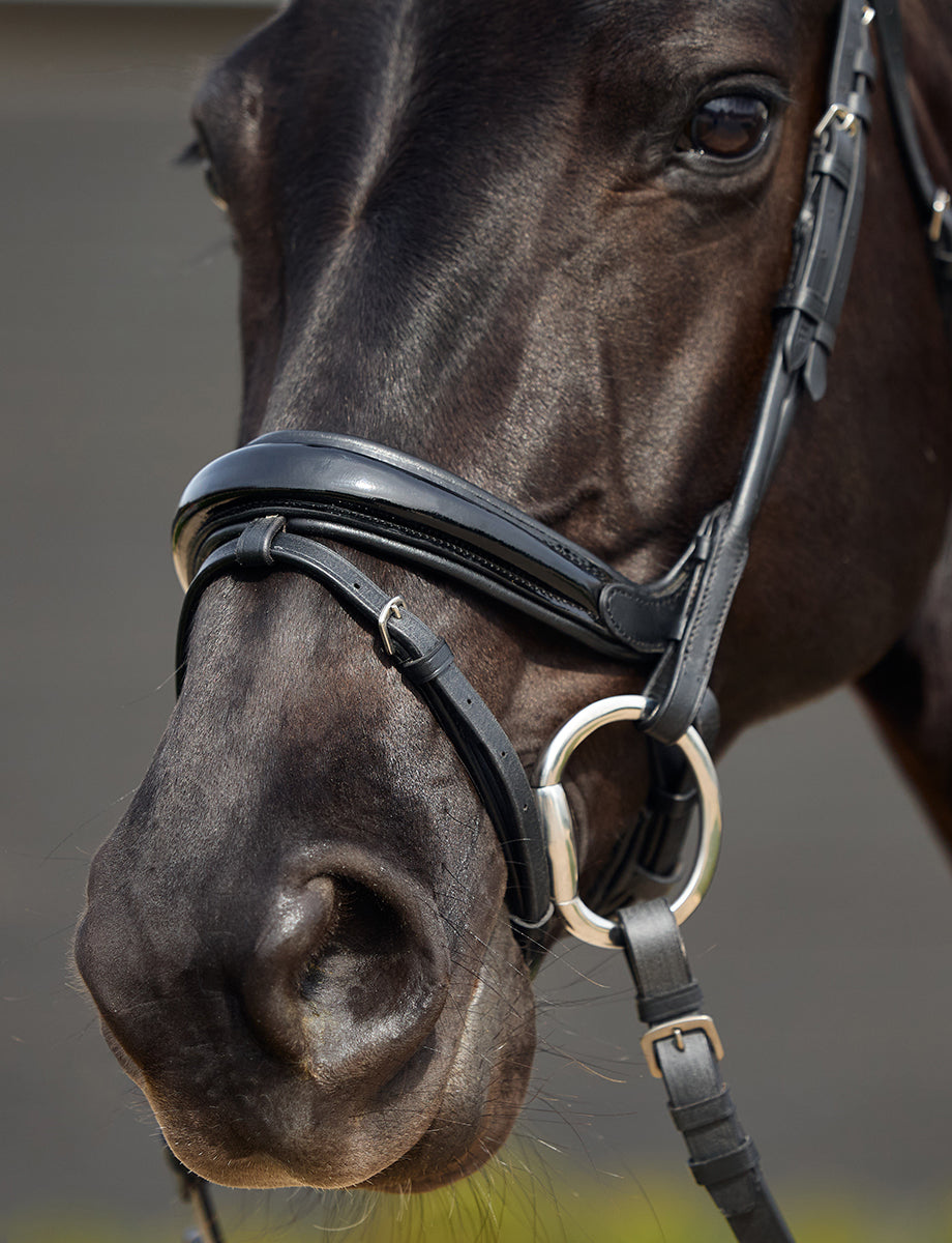 Dublin Padded Mono Crown Patent Flash Bridle