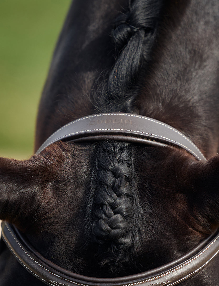 Dublin Padded Mono Crown Fancy Stitch Hunt Bridle