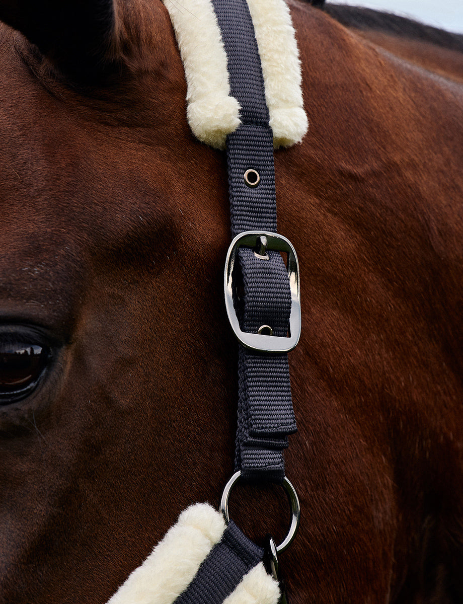 Dublin Soft Fit Headcollar