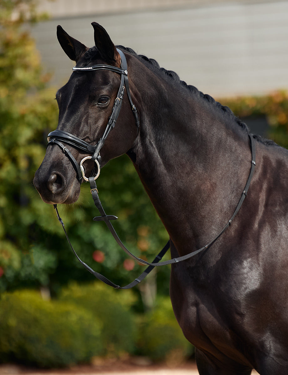 Dublin Padded Mono Crown Patent Flash Bridle
