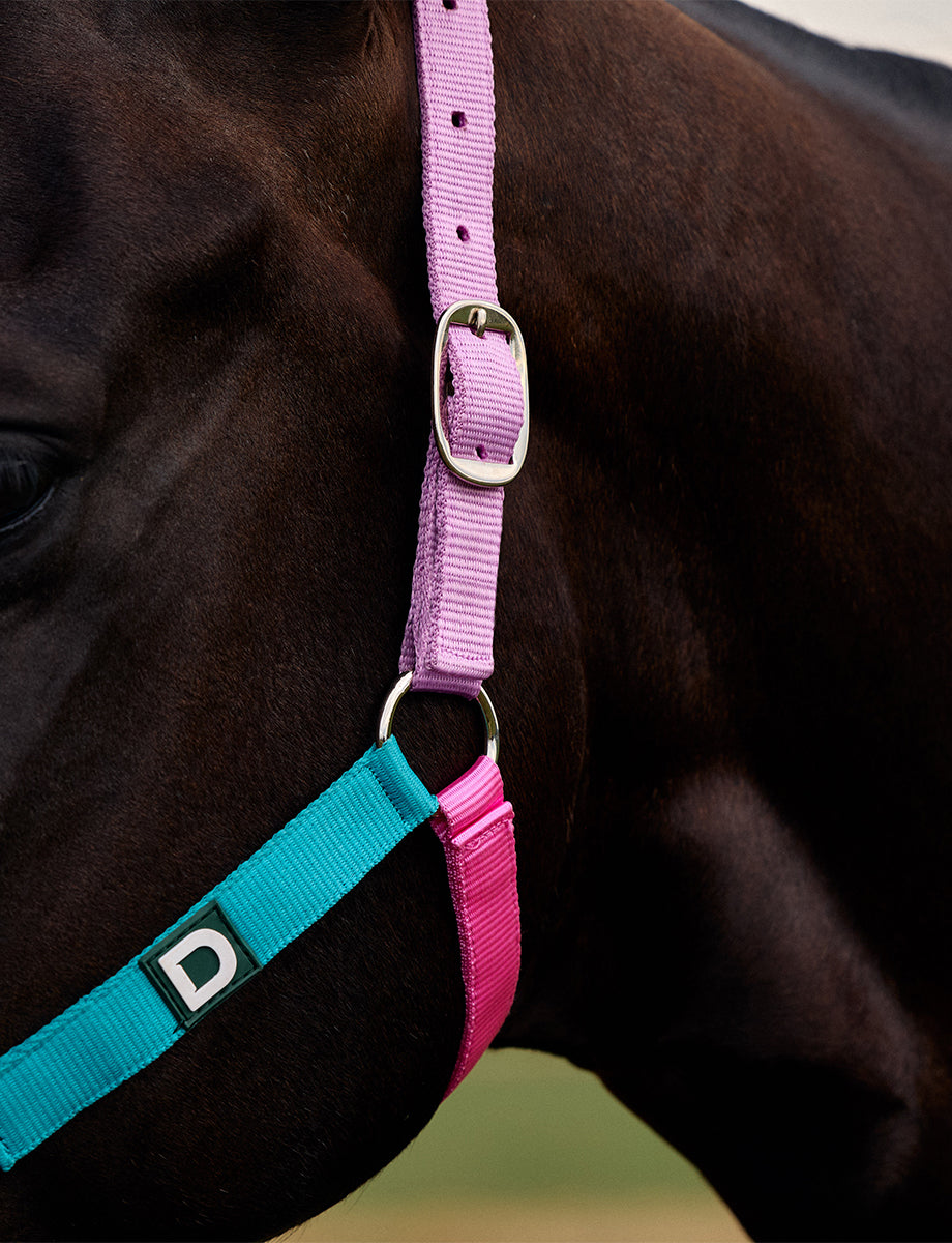 Dublin Everyday Headcollar
