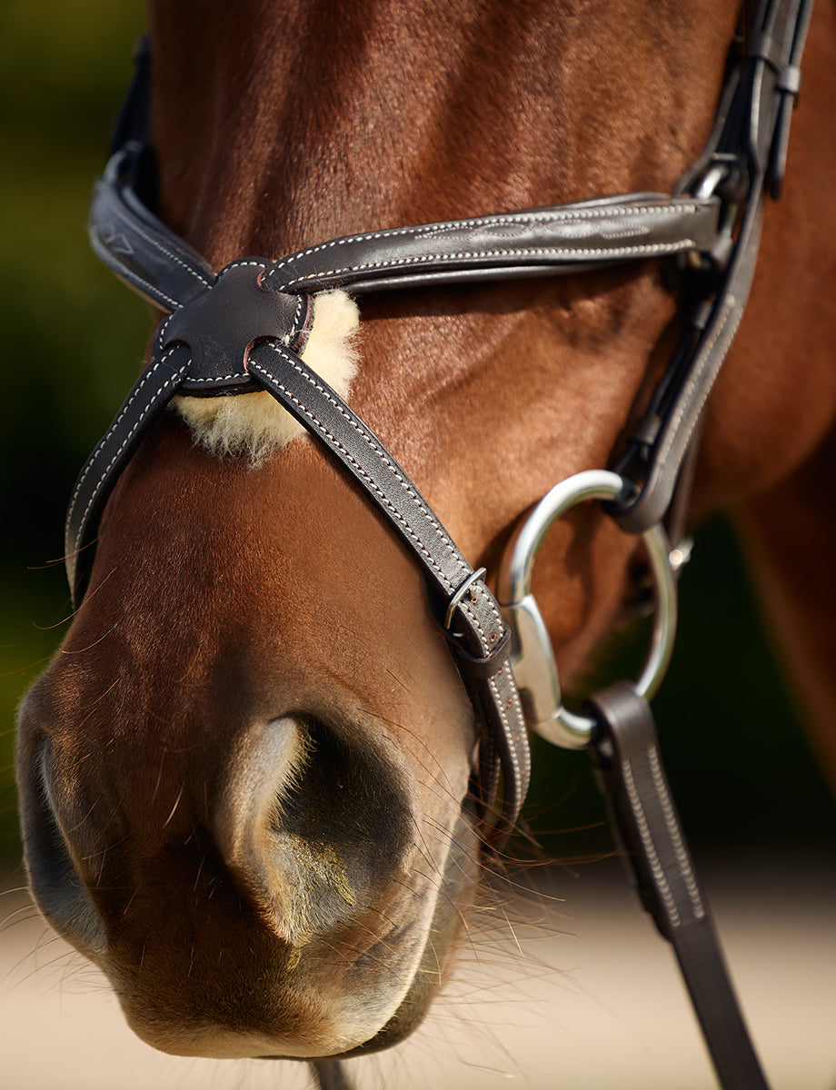 Dublin Padded Mono Crown Fancy Stitch Grackle Bridle