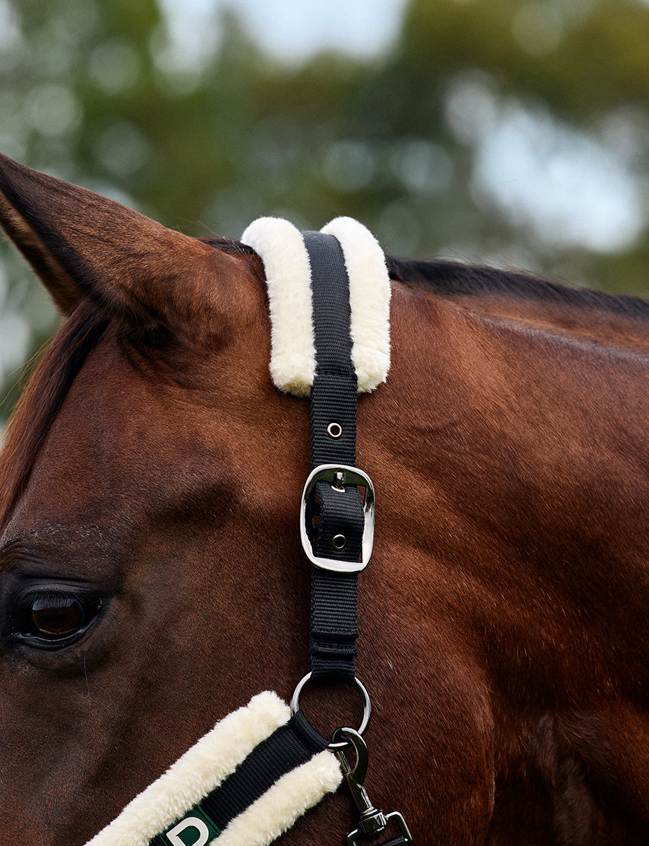 Dublin Soft Fit Headcollar