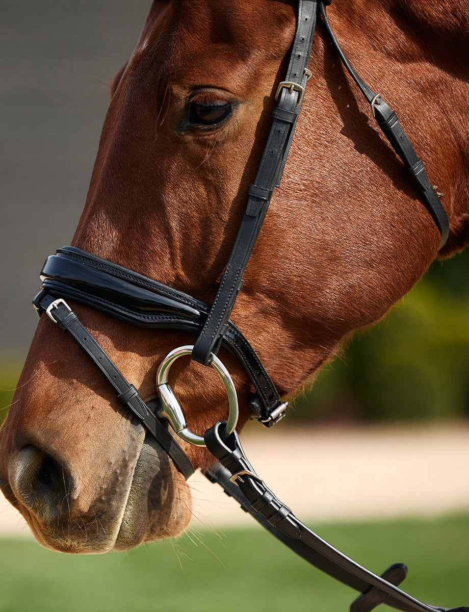 Dublin Padded Comfort Crown Patent Flash Bridle