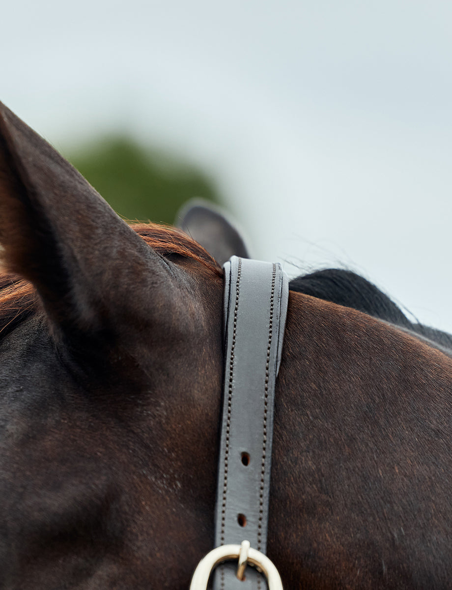 Dublin Leather Rope Headcollar